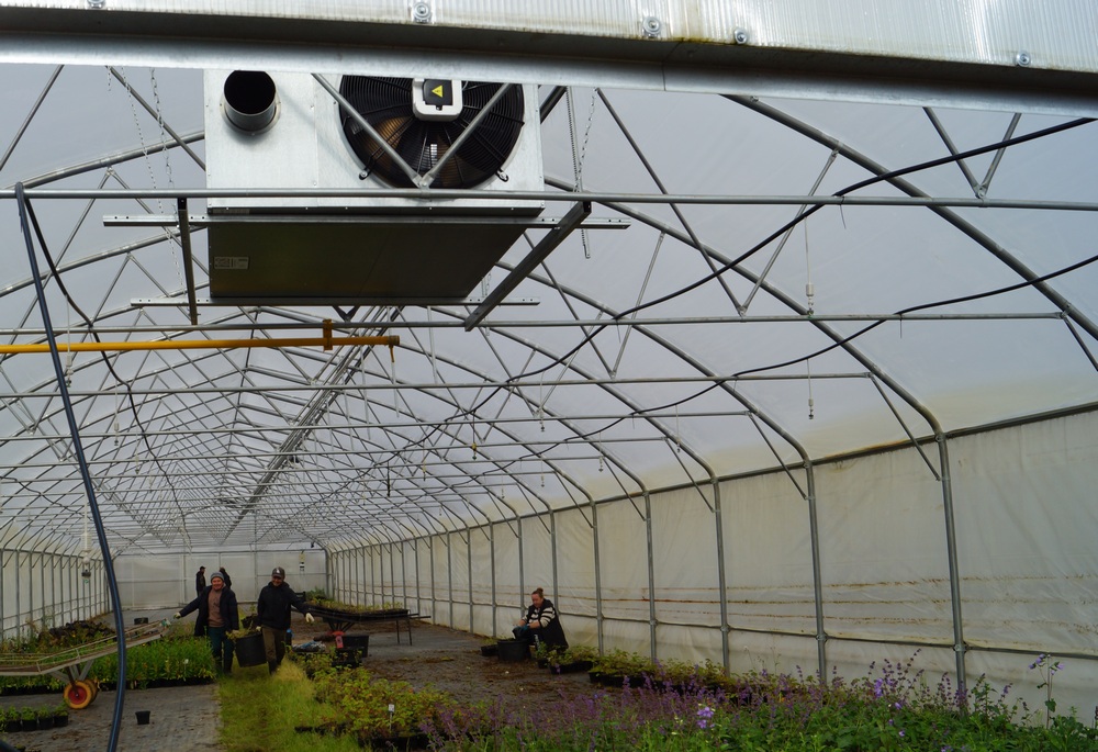 DSC04962_Осенние работы в теплице.jpg